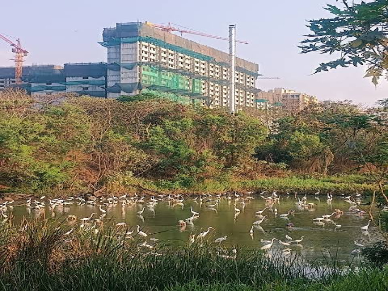 240 Acre Residential Plot for Sale in Mulund, Mumbai