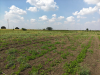  Residential Plot for Sale in Alagapuram, Salem