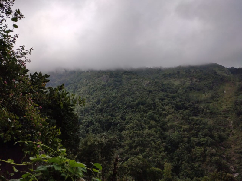  700 Acre Factory for Sale in Coonoor, Ooty