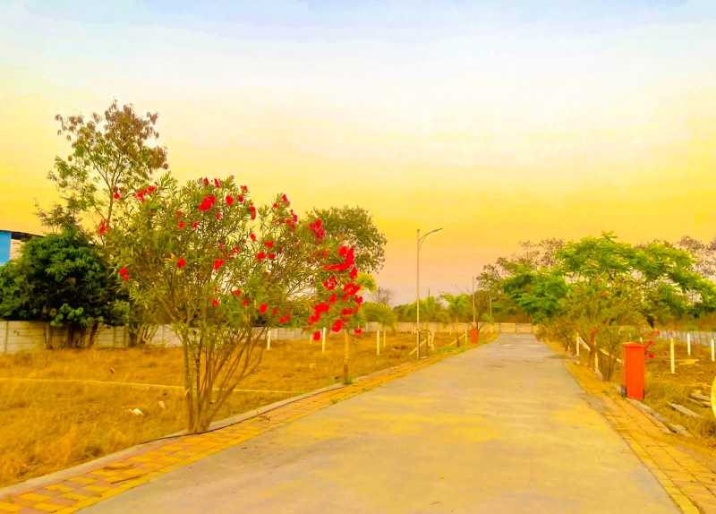  1250 Sq.ft. Residential Plot for Sale in Kasarsai, Pune