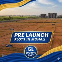 Residential Plot for Sale in Sector 110 Mohali