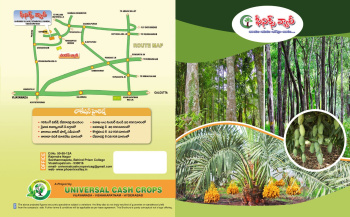  Agricultural Land for Sale in Devarapalli, Visakhapatnam