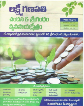 Agricultural Land for Sale in Gajapathinagaram, Vizianagaram