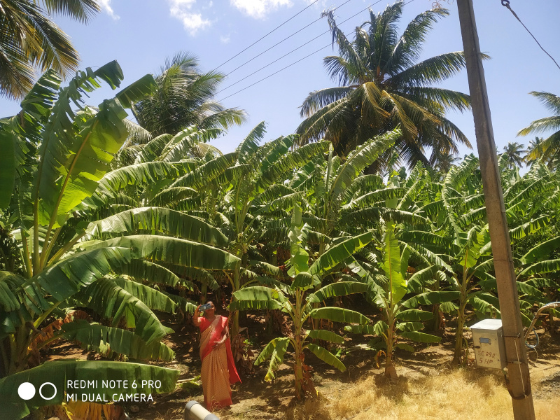  2 Acre Agricultural/Farm Land for Sale in Chinnamanur, Theni