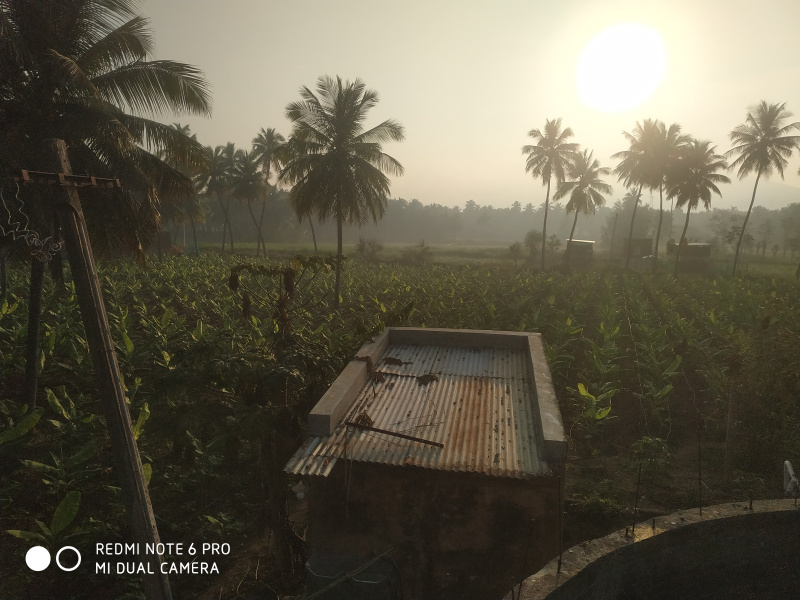  2 Acre Agricultural/Farm Land for Sale in Chinnamanur, Theni