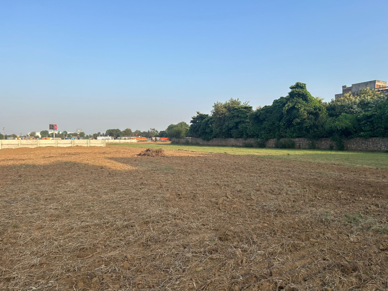  5 Acre Agricultural/Farm Land for Rent in Bilaspur, Gurgaon