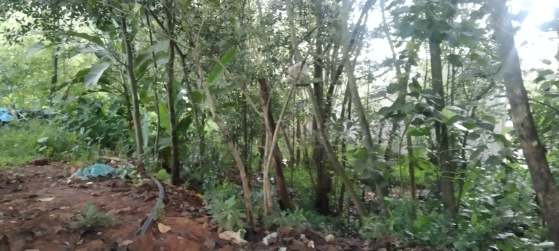  15 Cent Hotels for Sale in Padil, Mangalore