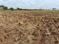 Agricultural Land for Sale in Kampli, Bellary