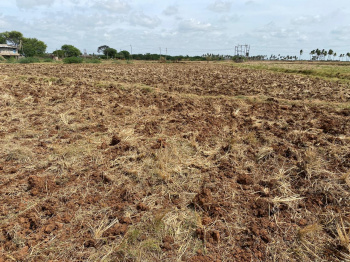  Agricultural Land for Sale in Kampli, Bellary