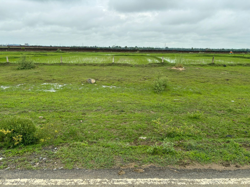  2720 Sq.ft. Residential Plot for Sale in Bodh Gaya