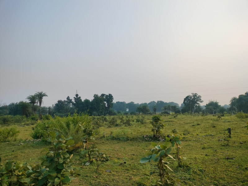  66000 Sq.ft. Residential Plot for Sale in Mridu Kishor Colony, Mandla