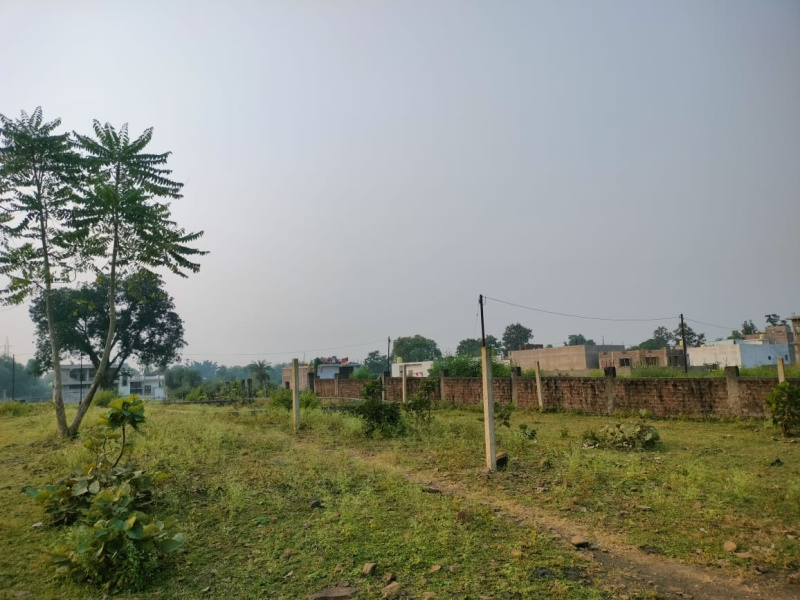  66000 Sq.ft. Residential Plot for Sale in Mridu Kishor Colony, Mandla