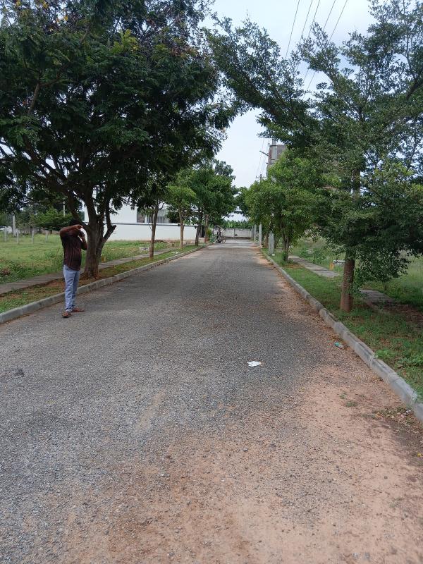  1200 Sq.ft. Residential Plot for Sale in Bangarapet, Kolar