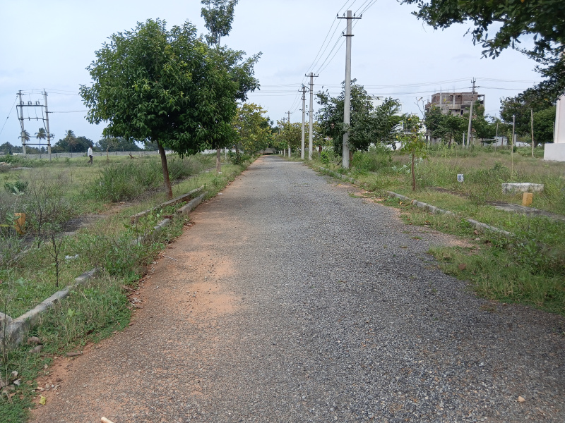  1200 Sq.ft. Residential Plot for Sale in Bangarapet, Kolar