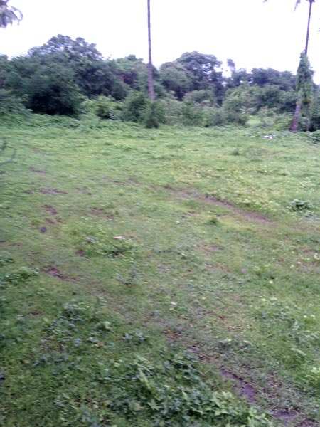 Commercial Land 5 Acre for Sale in