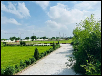 Residential Plot for Sale in Mandhana, Kanpur
