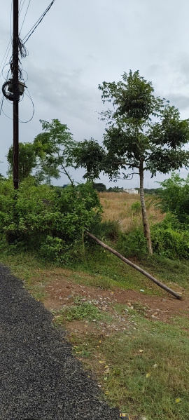  2000 Sq.ft. Residential Plot for Sale in Retang, Bhubaneswar