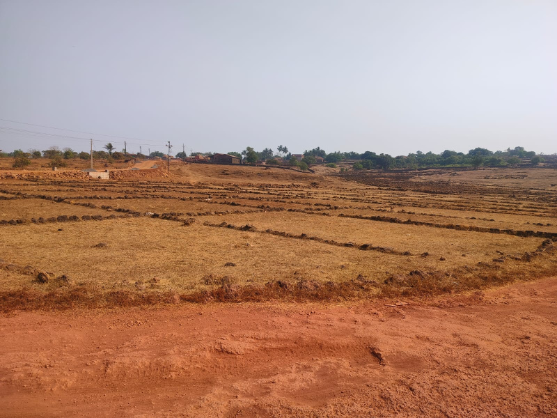  45 Acre Agricultural/Farm Land for Sale in Vetoshi, Ratnagiri
