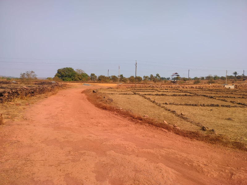  45 Acre Agricultural/Farm Land for Sale in Vetoshi, Ratnagiri