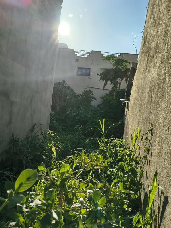  1330 Sq.ft. Commercial Land for Sale in Papparapatti, Dharmapuri