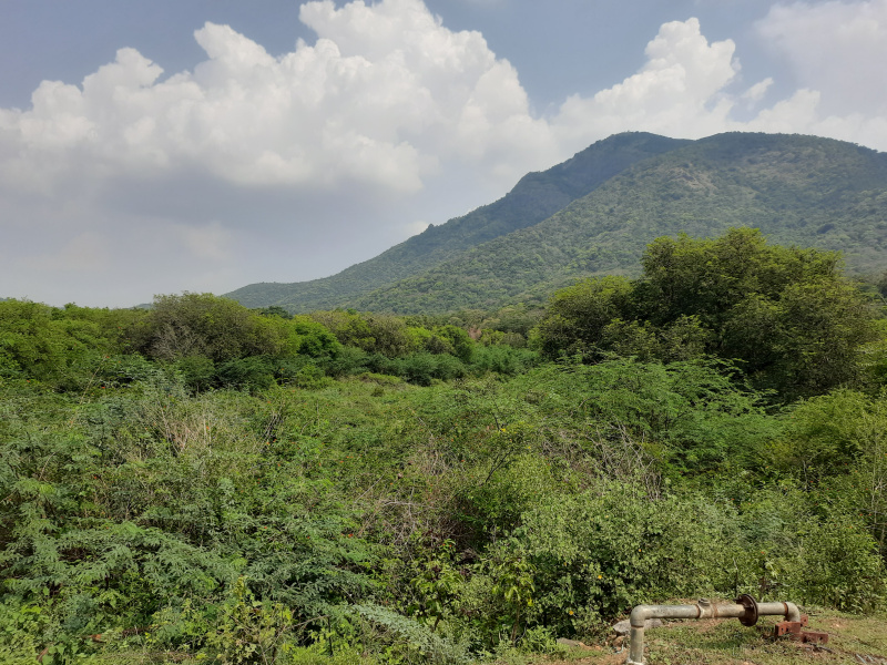  5 Acre Residential Plot for Sale in Govindanaickenpalayam, Coimbatore