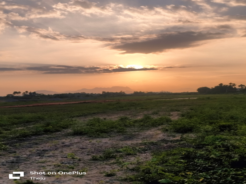 4 BHK 12 Acre Apartment for Sale in Tiruchanoor, Tirupati