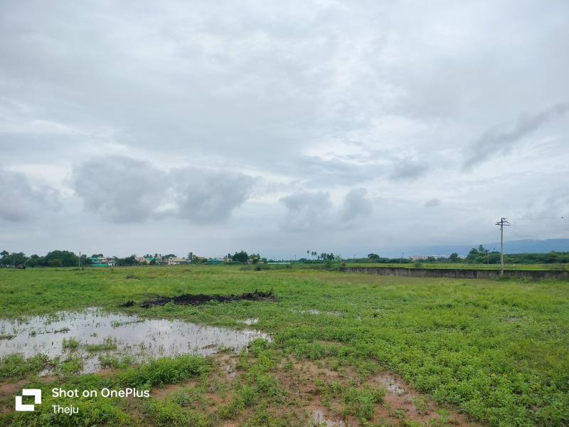 4 BHK 12 Acre Apartment for Sale in Tiruchanoor, Tirupati