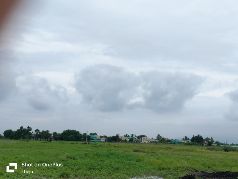 4 BHK 12 Acre Apartment for Sale in Tiruchanoor, Tirupati