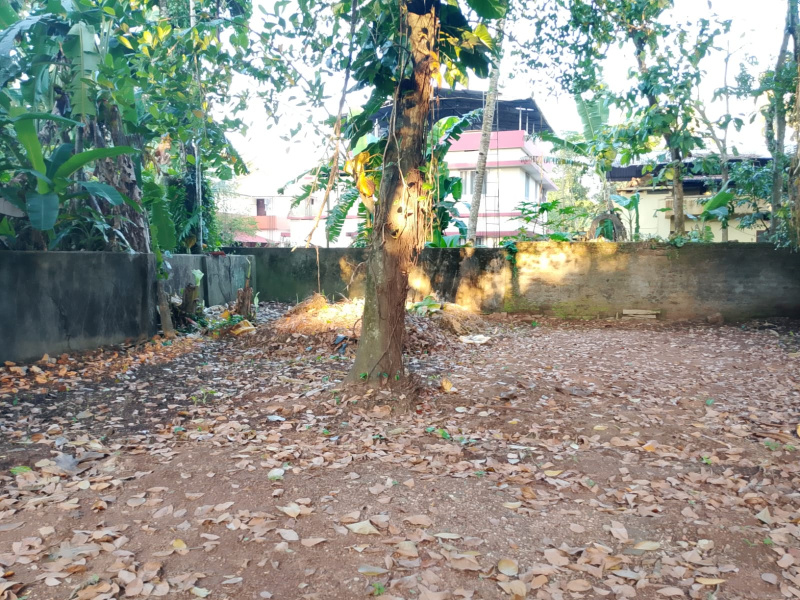 12 Cent Residential Plot for Sale in Mavelikkara, Alappuzha