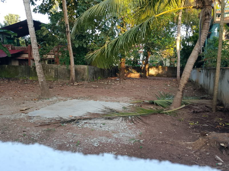  12 Cent Residential Plot for Sale in Mavelikkara, Alappuzha