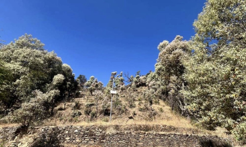  2160 Sq.ft. Residential Plot for Sale in Dwarahat, Almora