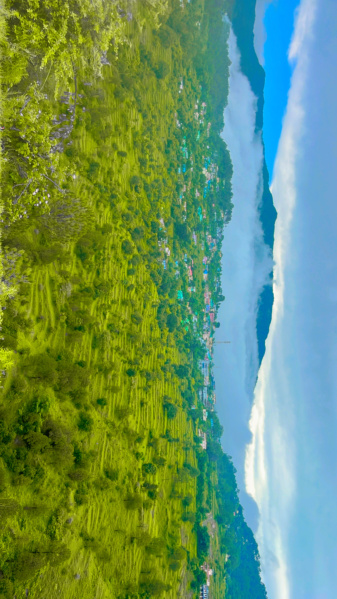  2160 Sq.ft. Residential Plot for Sale in Dwarahat, Almora