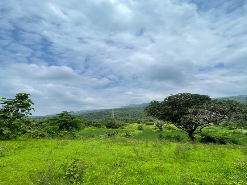  25 Acre Residential Plot for Sale in Pali, Raigad