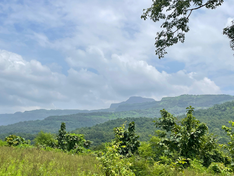  25 Acre Residential Plot for Sale in Pali, Raigad