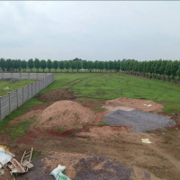 4.5 BHK Farm House for Sale in Naya Raipur, Raipur