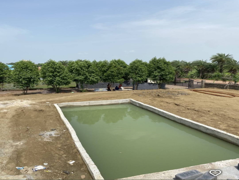 4.5 BHK 5000 Sq.ft. Farm House for Sale in Naya Raipur, Raipur