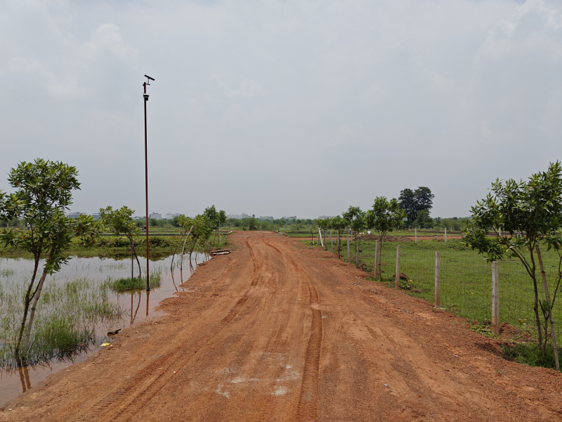  1000 Sq.ft. Residential Plot for Sale in Kamal Vihar, Raipur