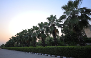  Studio Apartment for Sale in Jait, Vrindavan