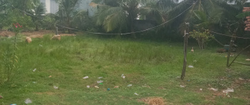 Commercial Land for Sale in Kolathur, Salem