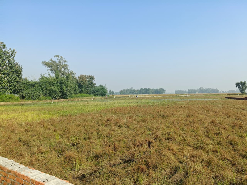  1000 Sq.ft. Residential Plot for Sale in Air Force Area, Gorakhpur