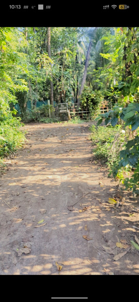  13650 Sq.ft. Agricultural/Farm Land for Sale in Kelwa, Palghar