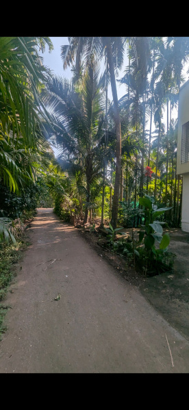  13650 Sq.ft. Agricultural/Farm Land for Sale in Kelwa, Palghar