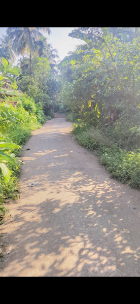  13650 Sq.ft. Agricultural/Farm Land for Sale in Kelwa, Palghar