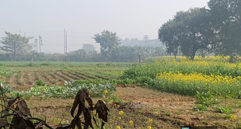  300 Sq. Yards Residential Plot for Sale in Jaitpur Village, Greater Noida