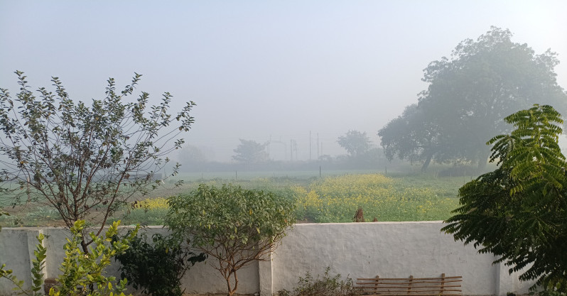  300 Sq. Yards Residential Plot for Sale in Jaitpur Village, Greater Noida