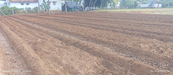 Agricultural Land for Sale in Velur, Namakkal