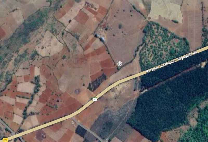  17 Acre Agricultural/Farm Land for Sale in Pujariput, Koraput