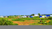 Residential Plot for Sale in Kanuparthipadu, Nellore