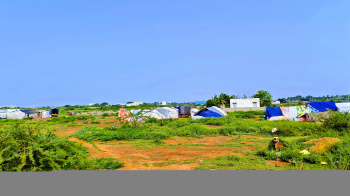  Residential Plot for Sale in Kanuparthipadu, Nellore