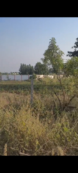  217803 Sq.ft. Residential Plot for Sale in Moinabad, Hyderabad